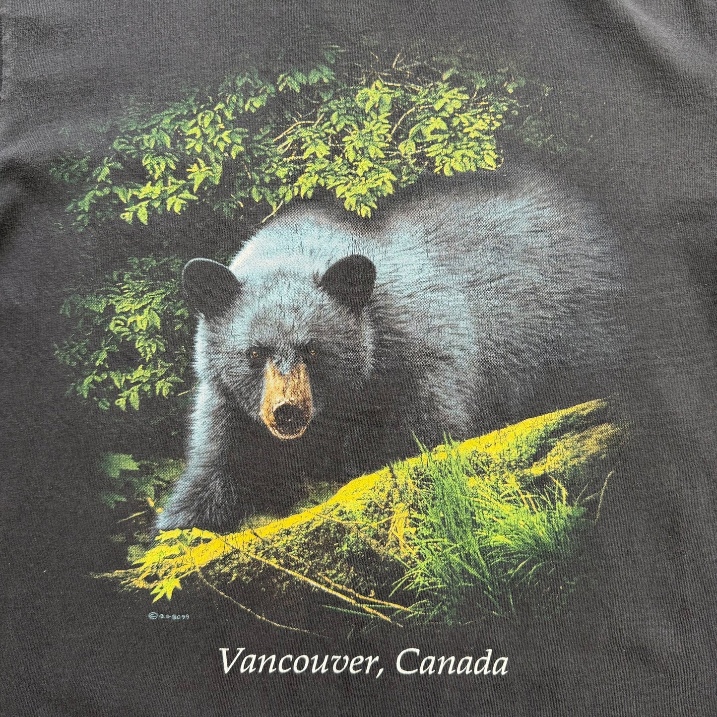 1990's Vancouver Canada - Bear Graphic T-Shirt - M
